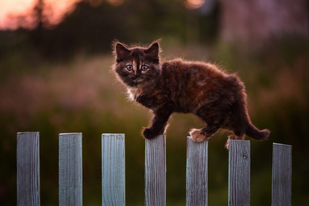 Photograph by Анастасия Думинская