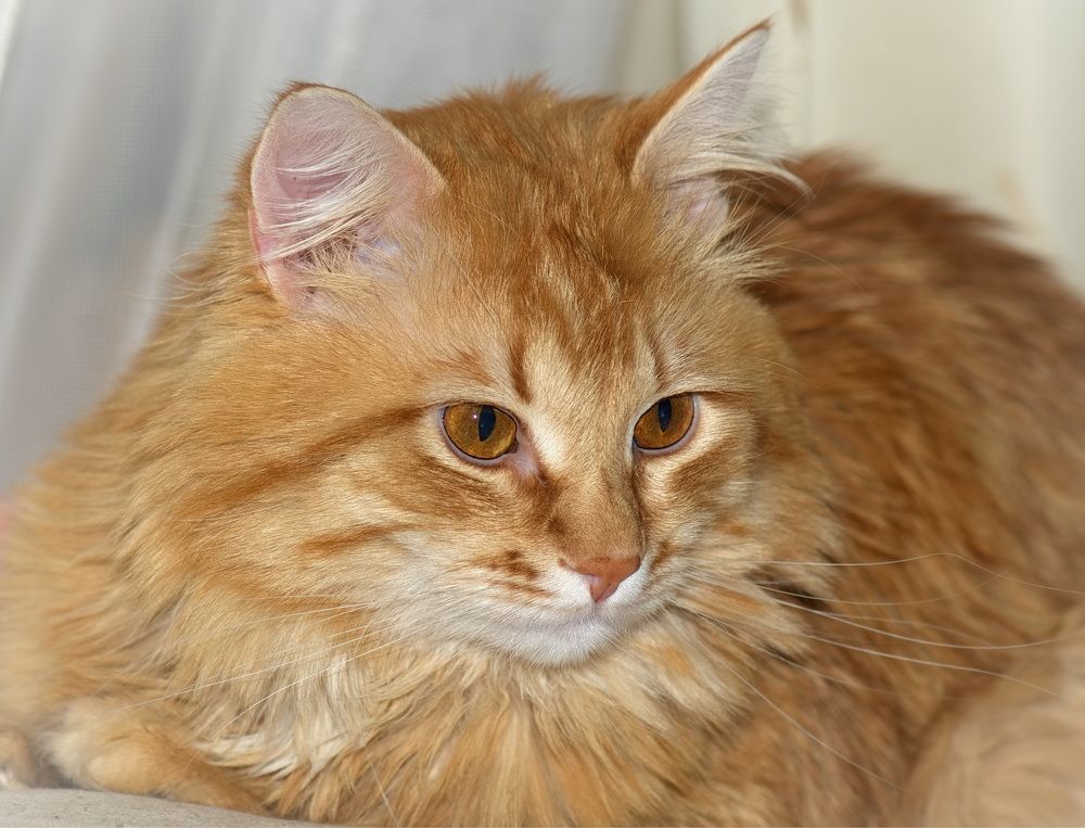 Photograph by Юрий Митенёв