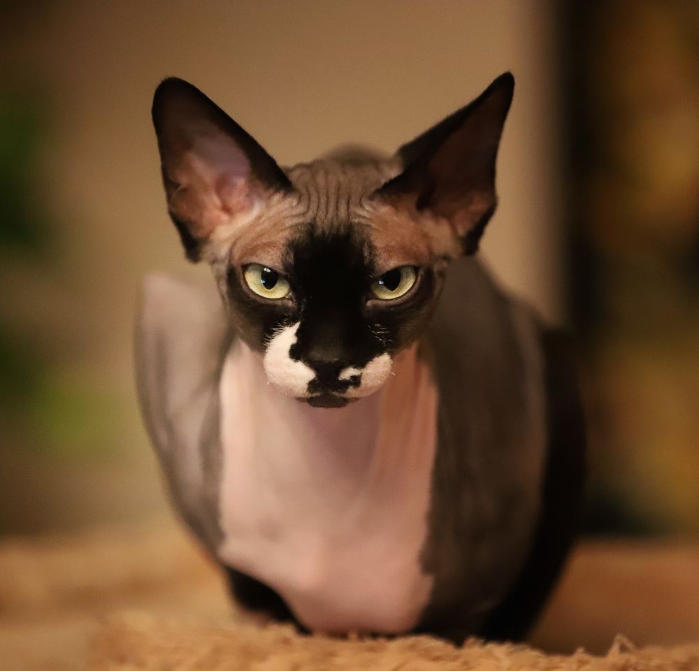 Фотография автора Igor Lukin