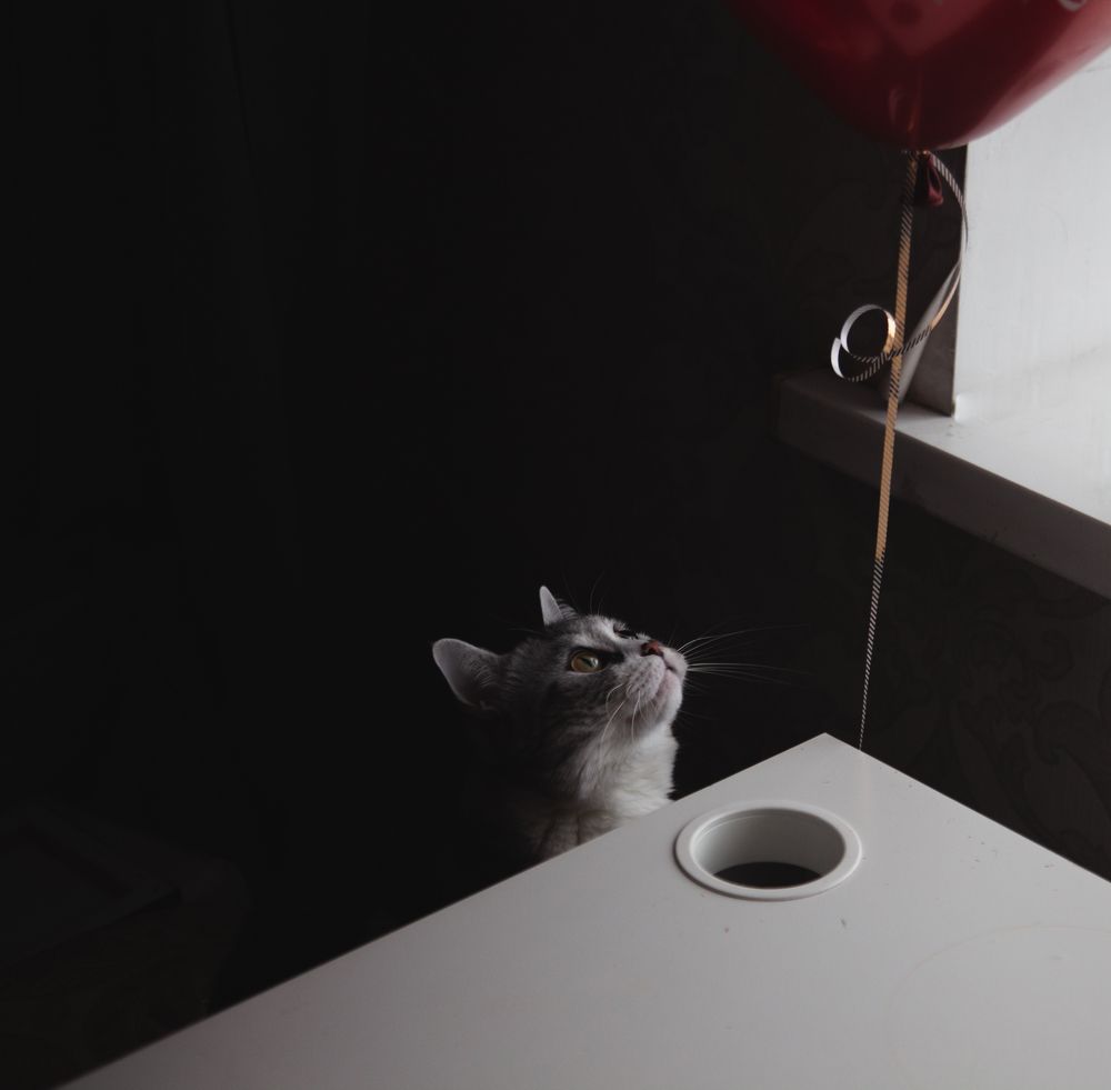 Photograph by Алина Перескокова