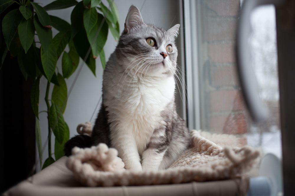 Photograph by Алина Перескокова