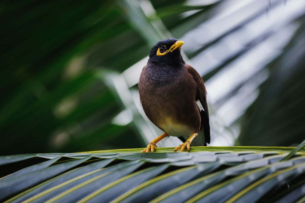 Photograph by Armen  Maitesian