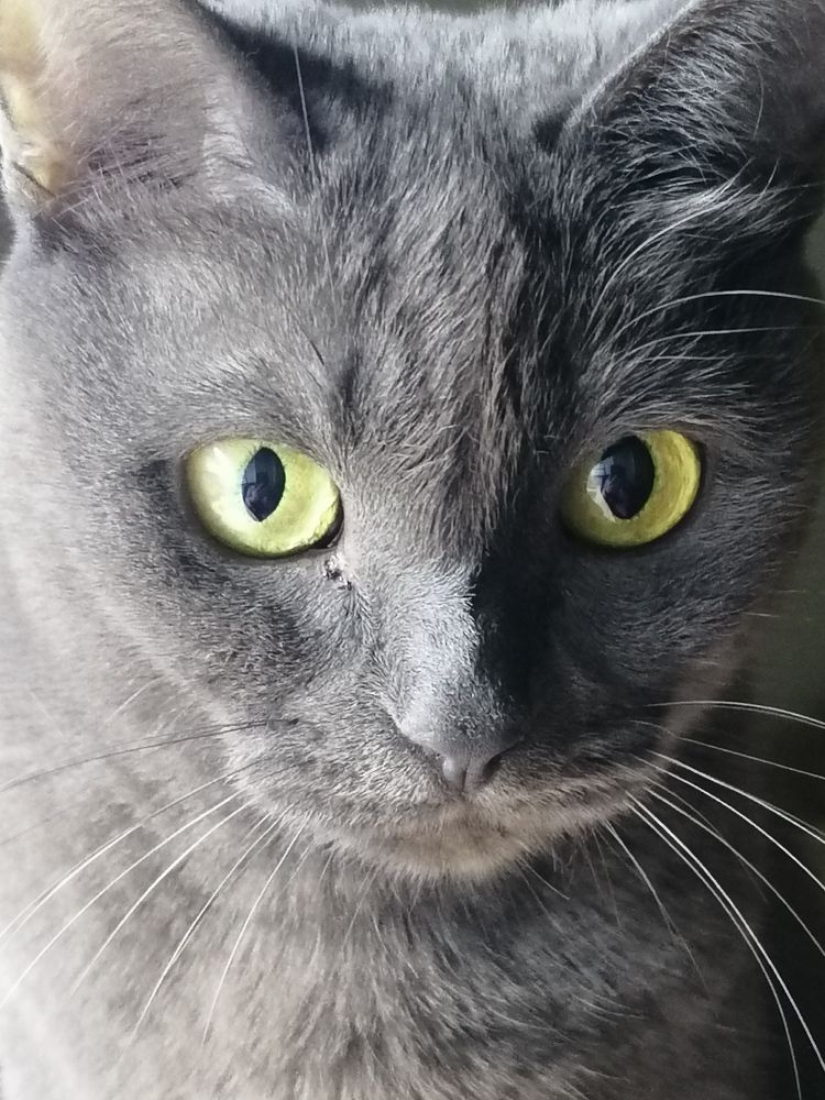 Photograph by Елена Андреевна