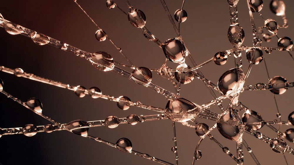 Макрокапли