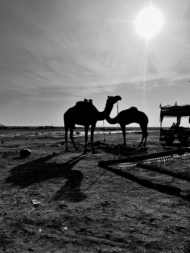 Photograph by sagar pavale