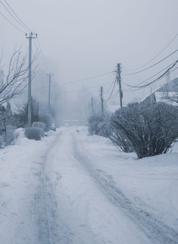 Фотография автора Григорьев Алексей