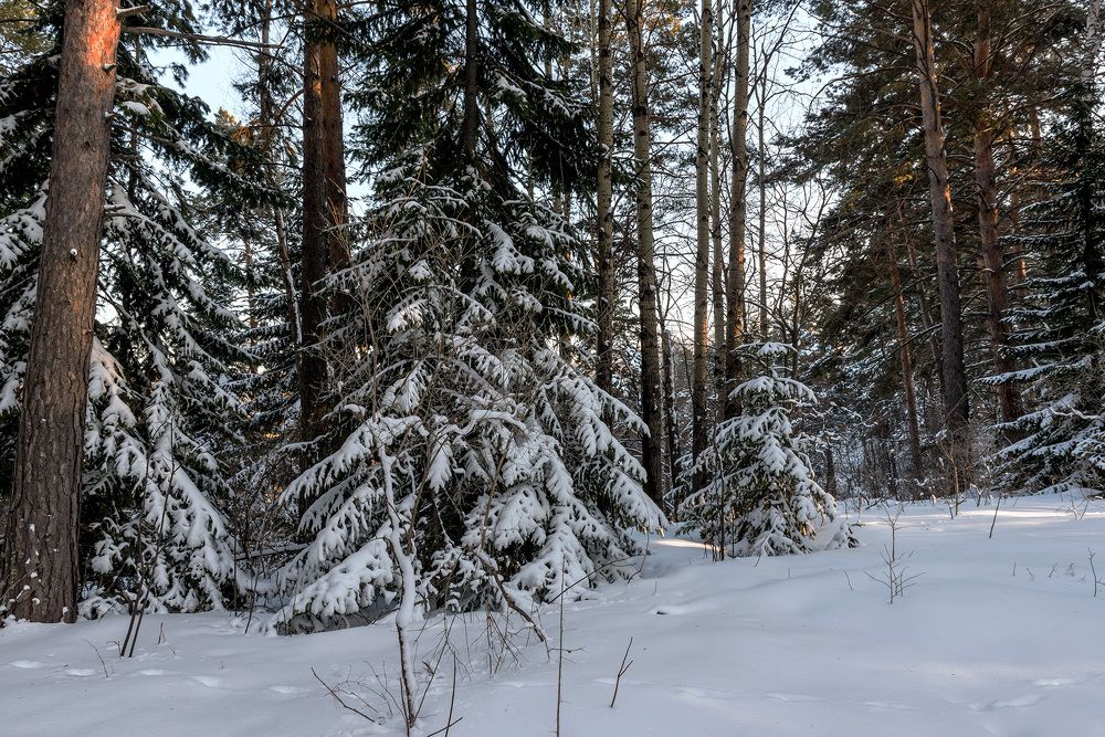 Photograph by Игорь Боголюбов