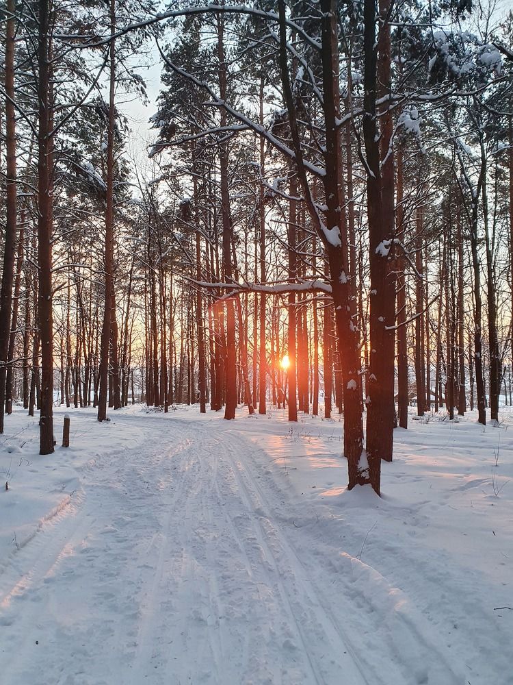 Photograph by Олег Титкин