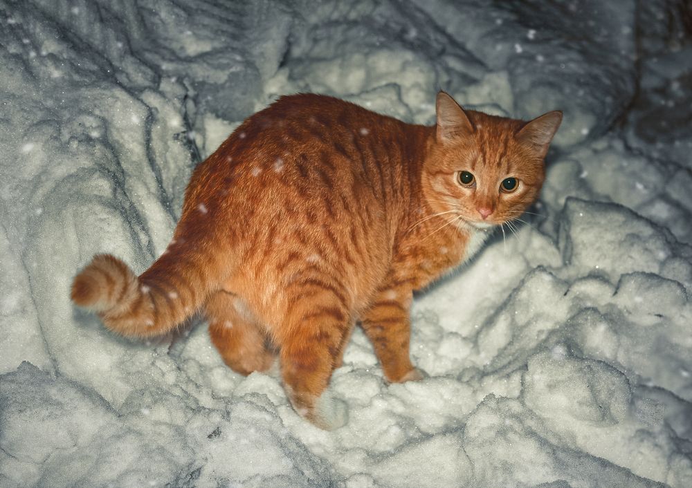 Photograph by Ольга Остапенко