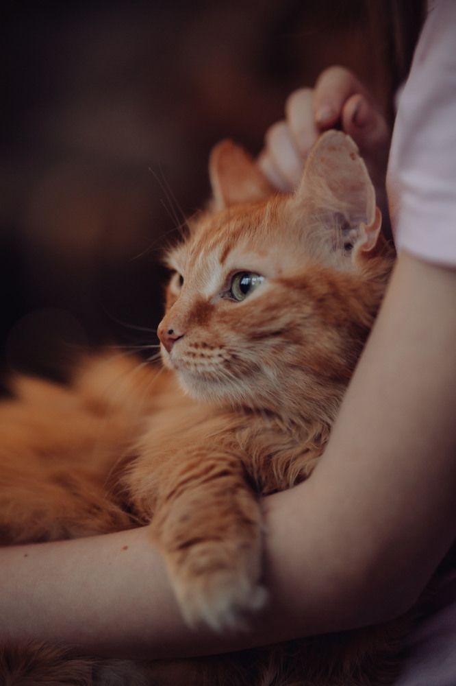 Photograph by Екатерина Верещагина