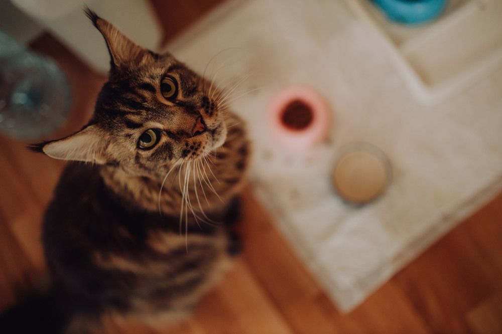 Photograph by Екатерина Верещагина