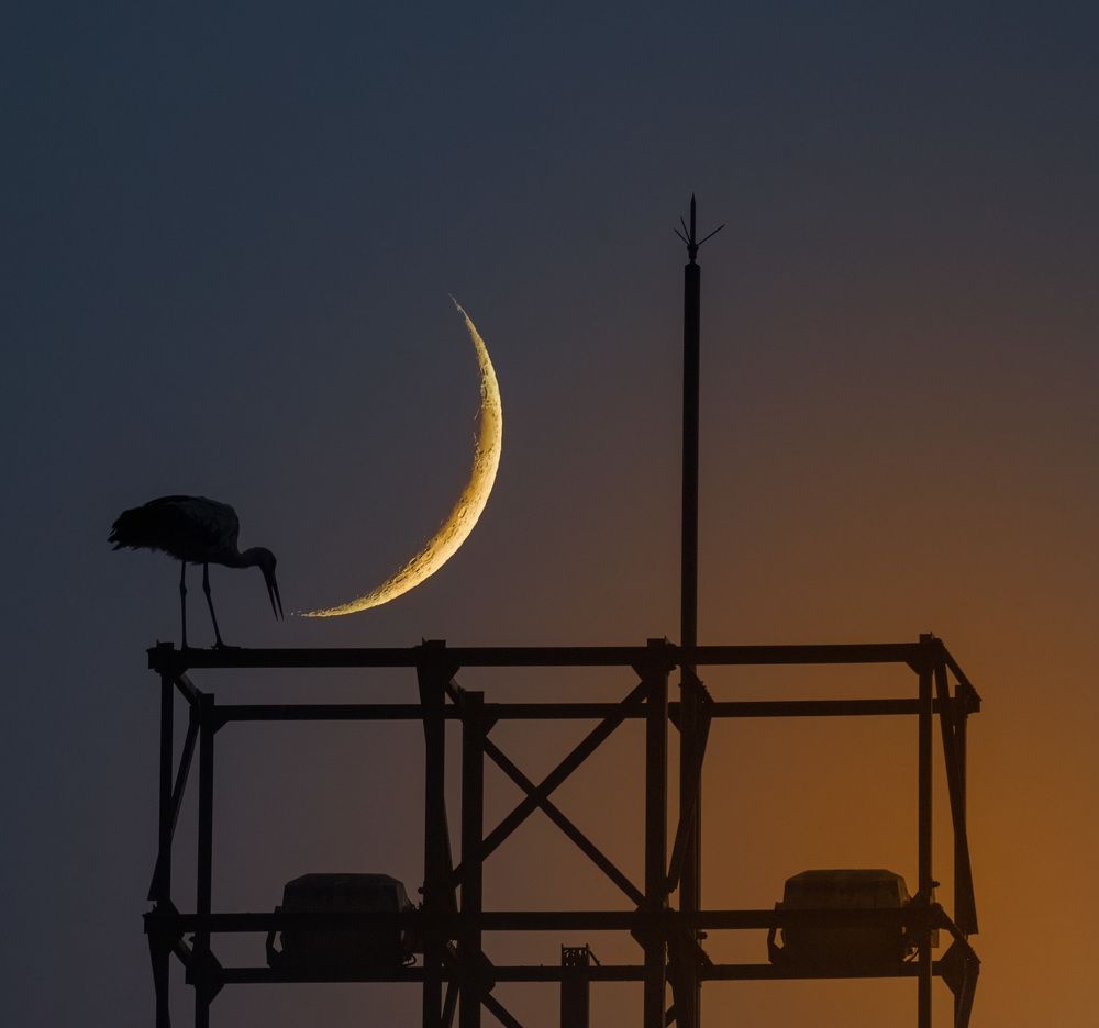 Photograph by Miguel Iglesias