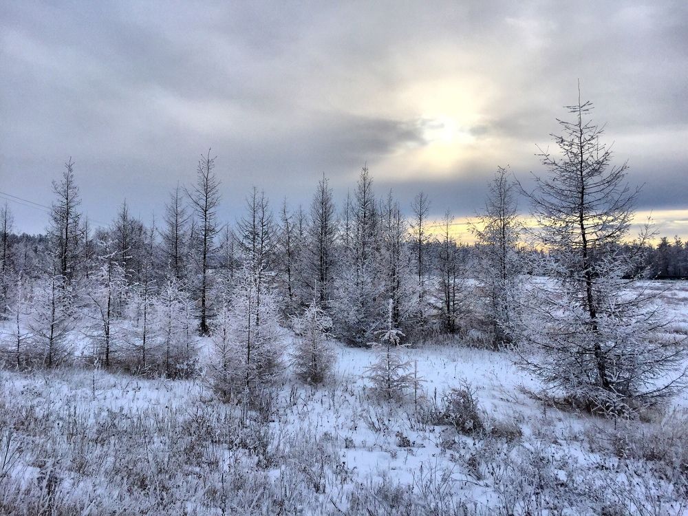 Photograph by Андрей Нечунаев