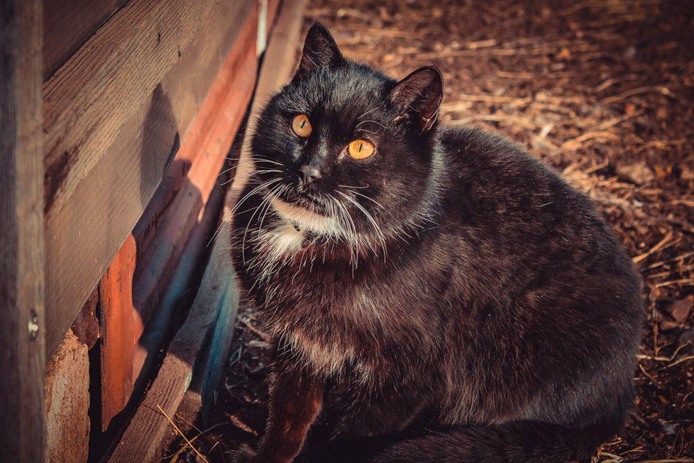 Photograph by Андрей Нечунаев