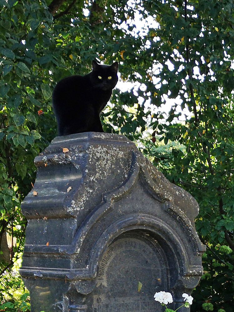 Photograph by Михаил Янкин