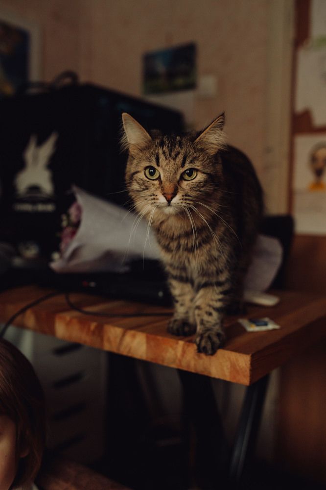 Photograph by Екатерина Верещагина