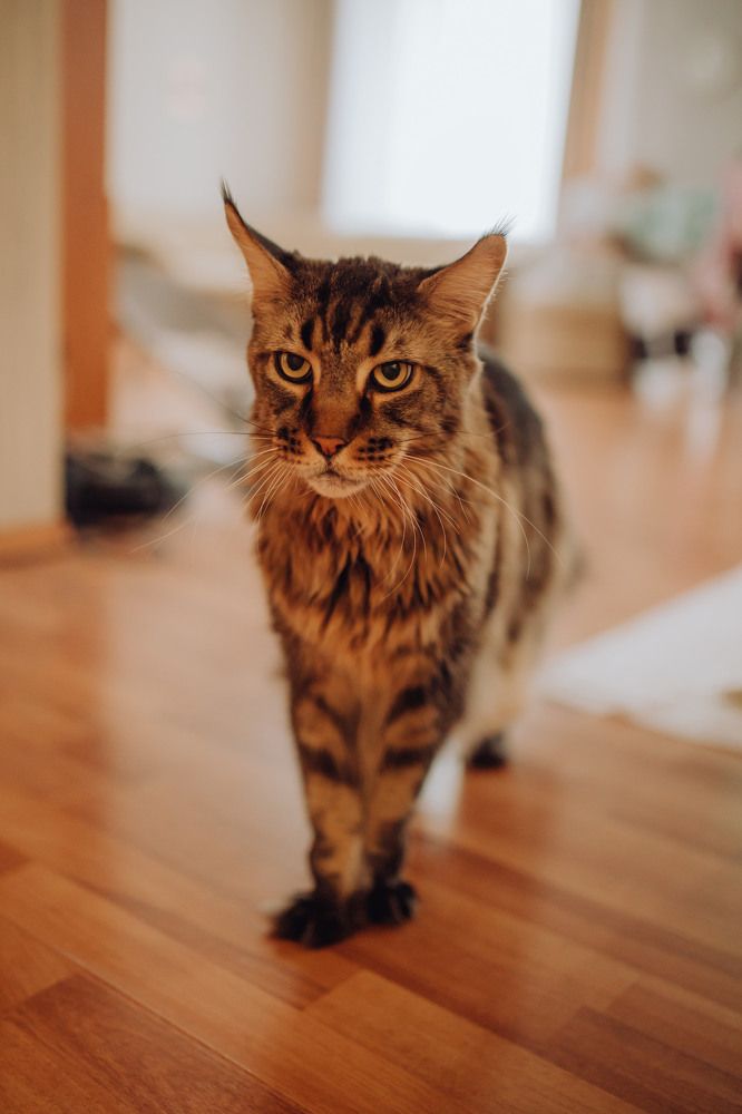 Photograph by Екатерина Верещагина