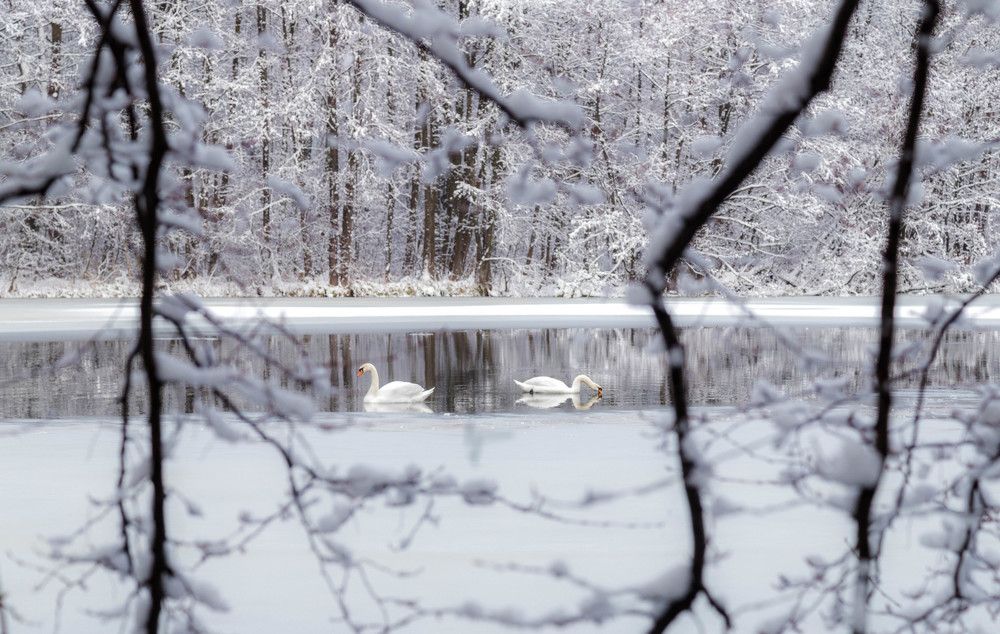 Photograph by Наталья Брюхненко