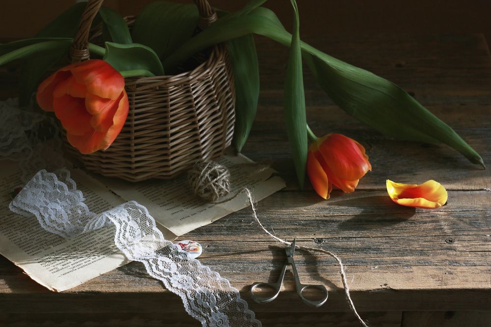 Photograph by Ольга Кочнева