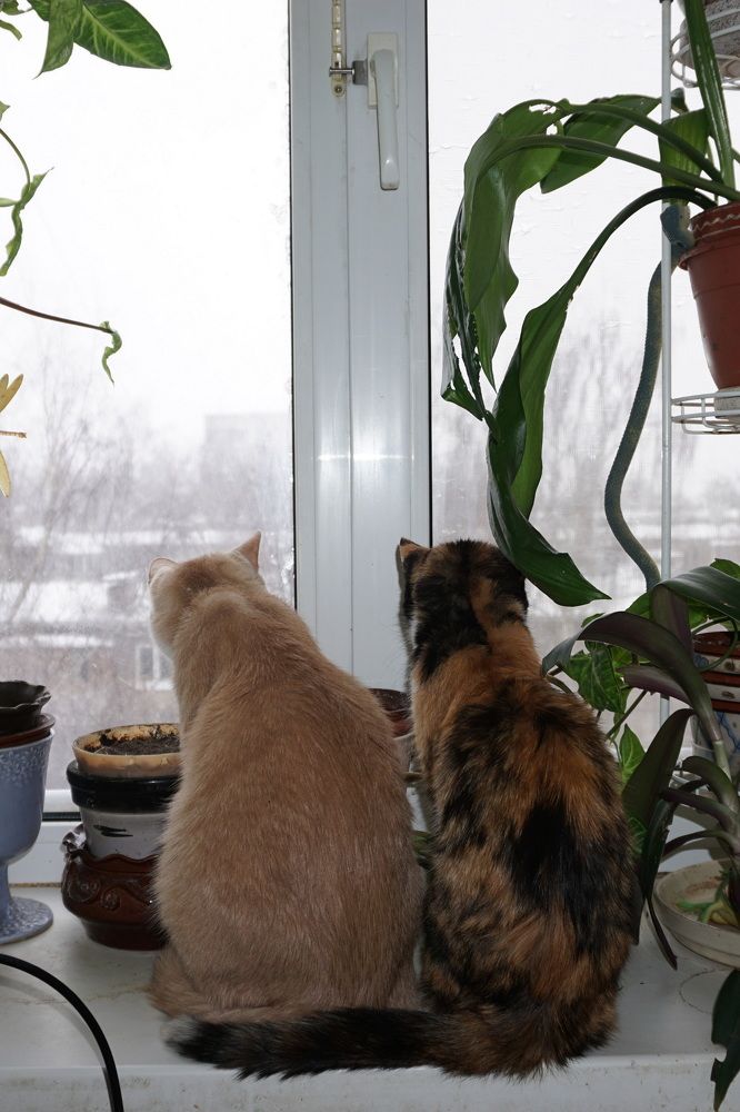 Photograph by Роман Шаров