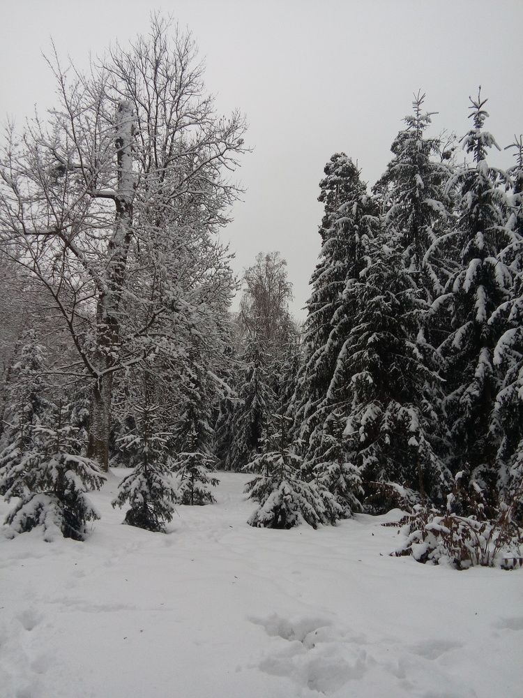 Photograph by Ирина Шаповалова