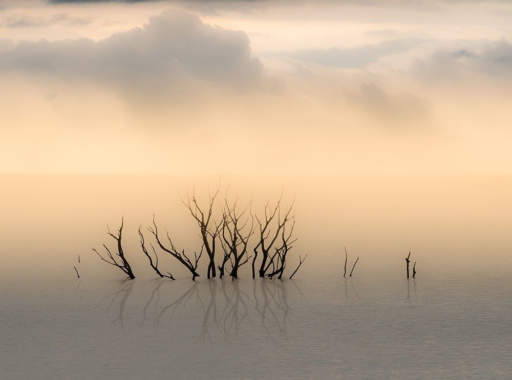 Photograph by Miguel Iglesias