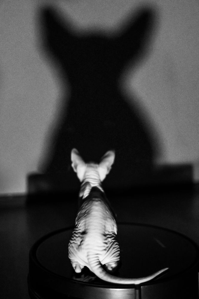 Photograph by Ольга Мисайлова