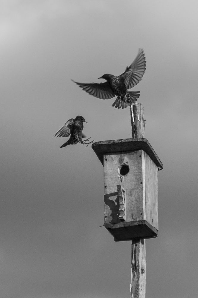 Фотография автора Вадим Лабитов