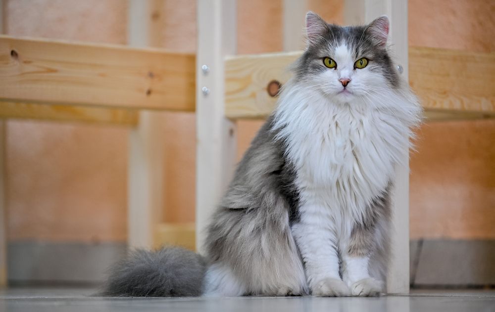 Photograph by Михаил Петрик