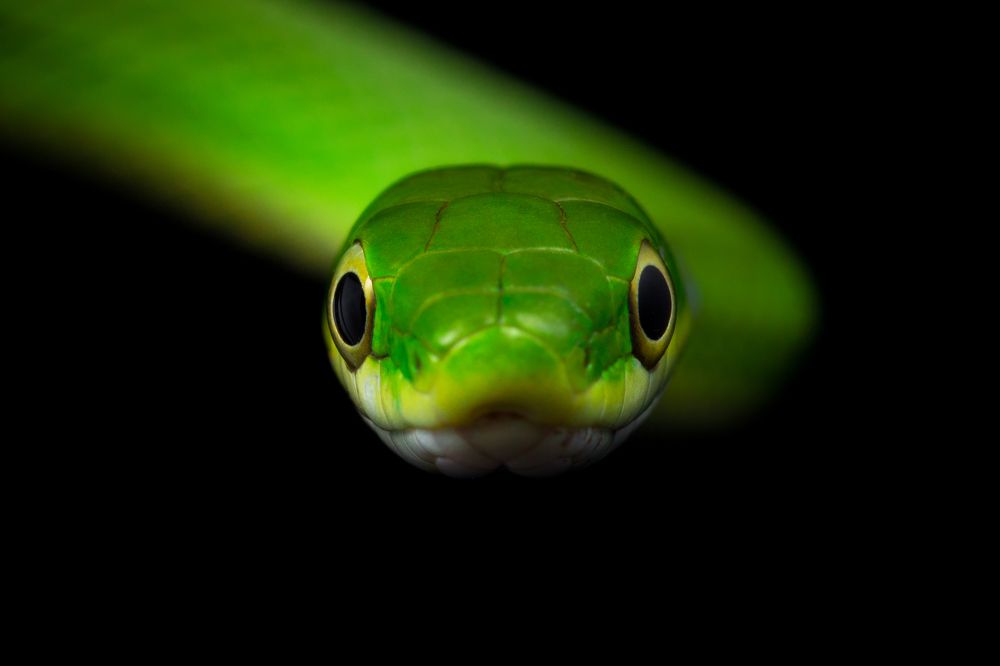 Photograph by Kevin Blackwell