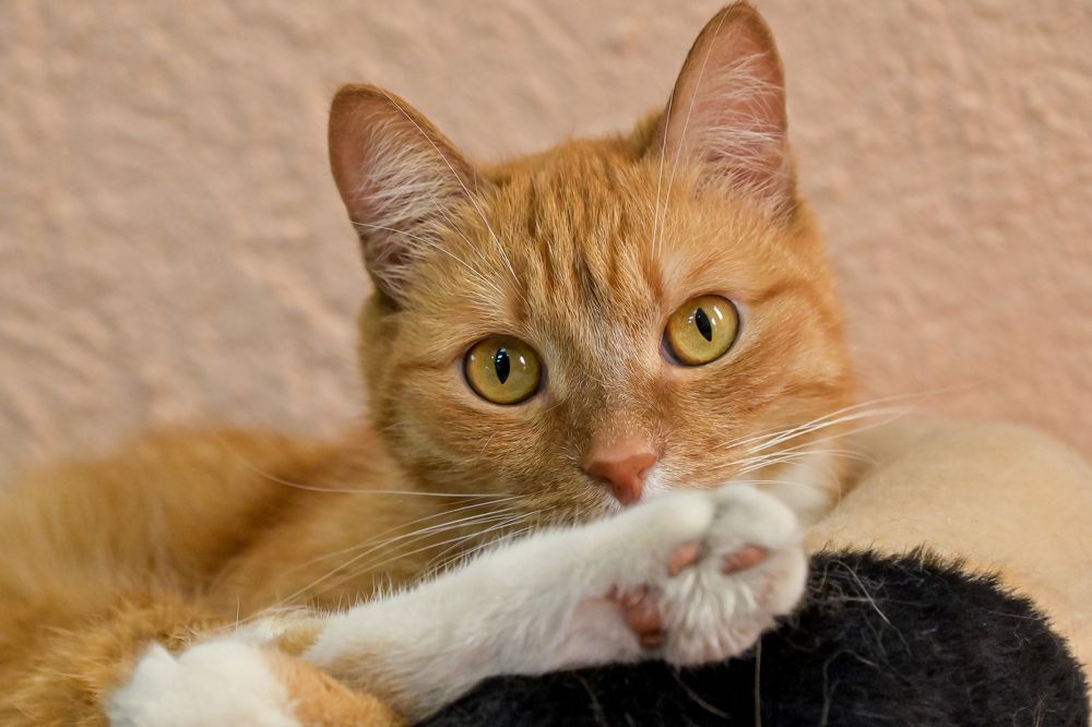 Photograph by Михаил Петрик