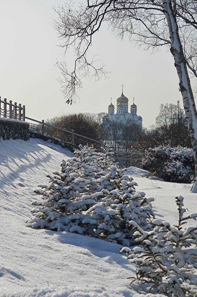 Photograph by Наталья Копьева