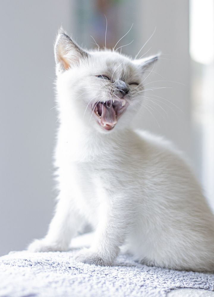 Photograph by Julia Stuckert