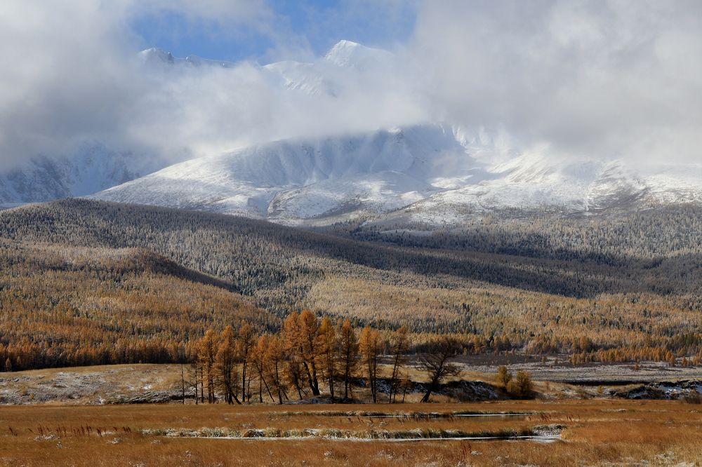 Photograph by Добролюбова Тамара