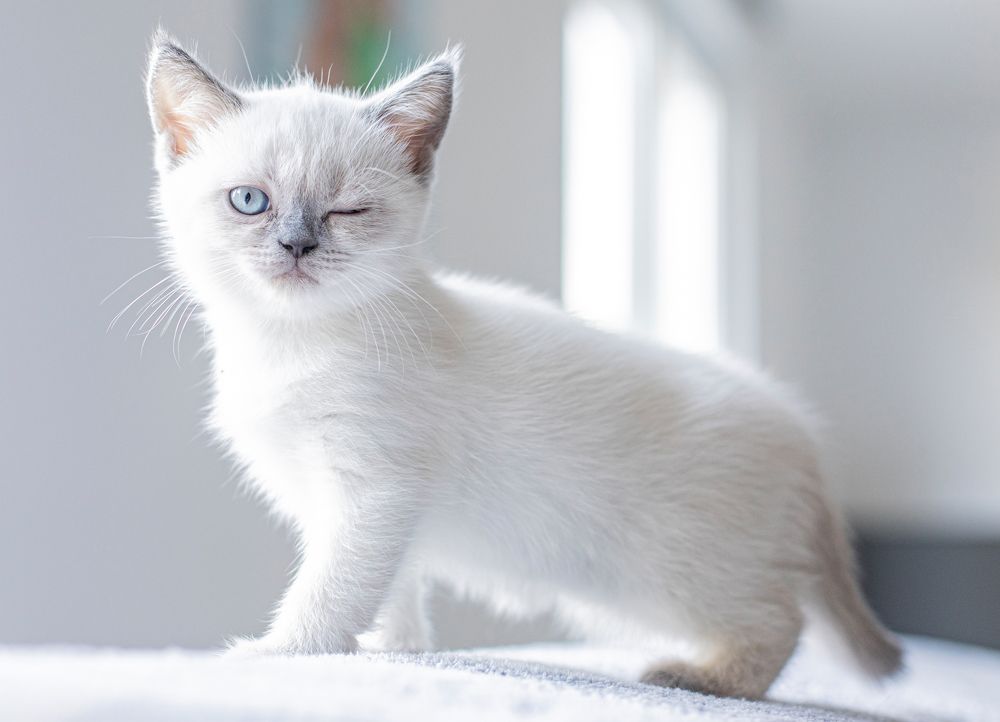 Photograph by Julia Stuckert