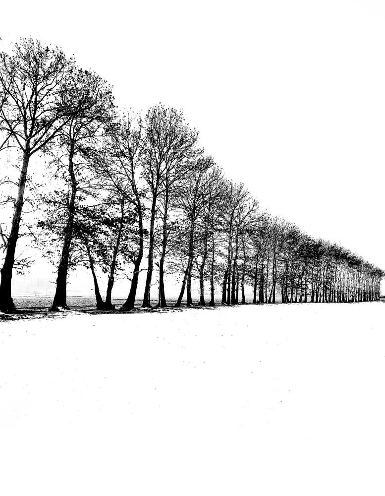 Фотография автора Zahra Seyedmorti