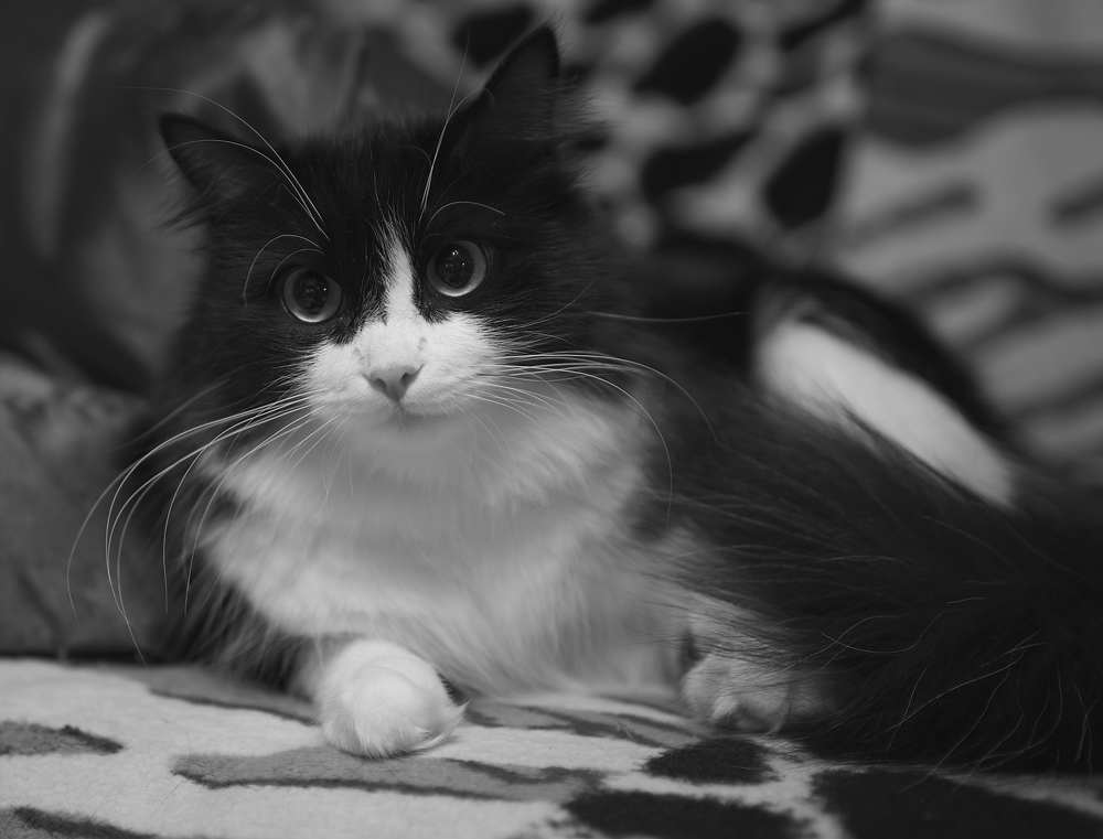 Photograph by Денис Клубникин