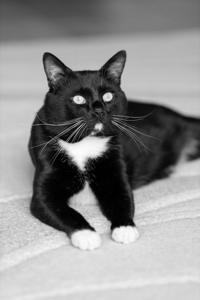 Photograph by Максим Дорошенко