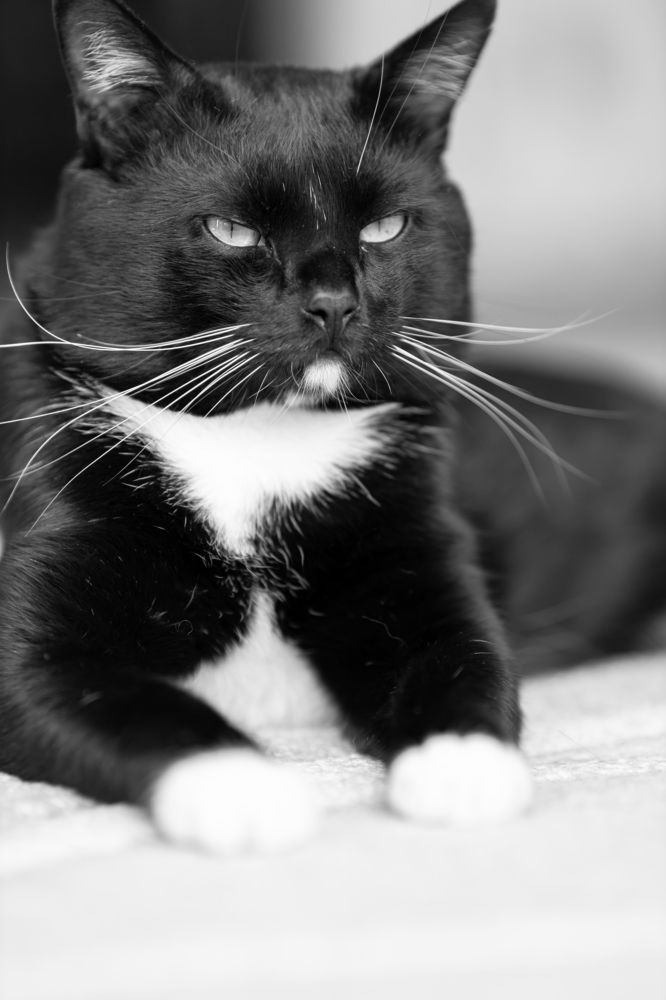 Photograph by Максим Дорошенко