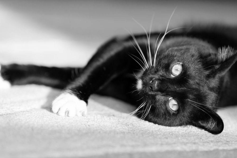 Photograph by Максим Дорошенко