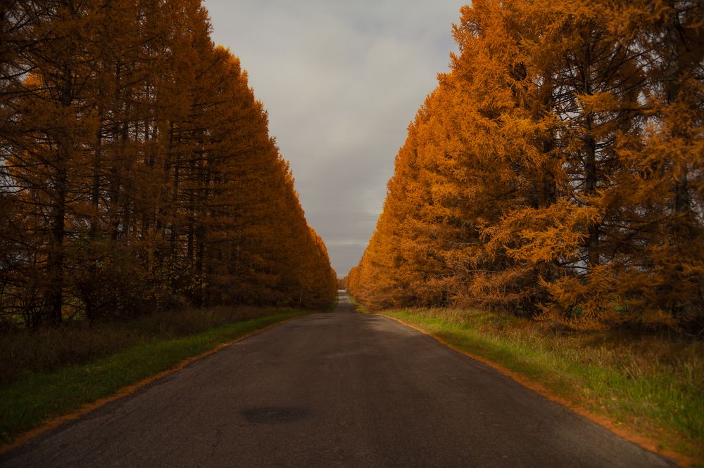 Фотография автора Вадим Лабитов