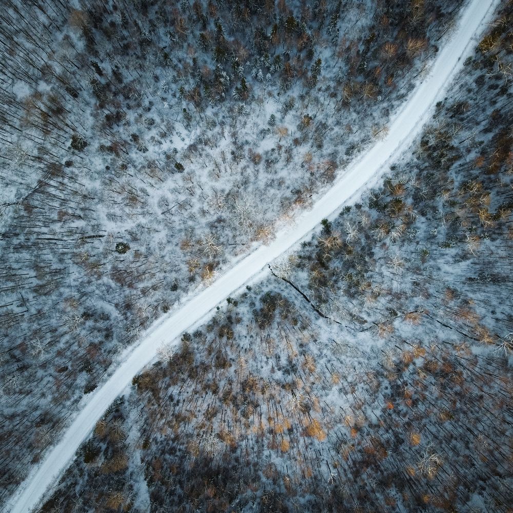 Photograph by Andrei Iliushenko