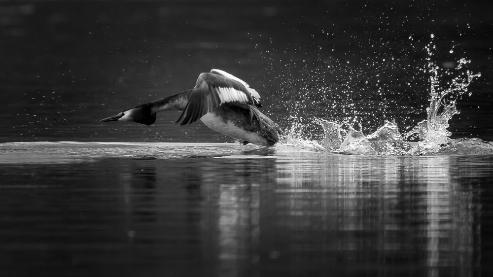 Фотография автора Суслов Дмитрий