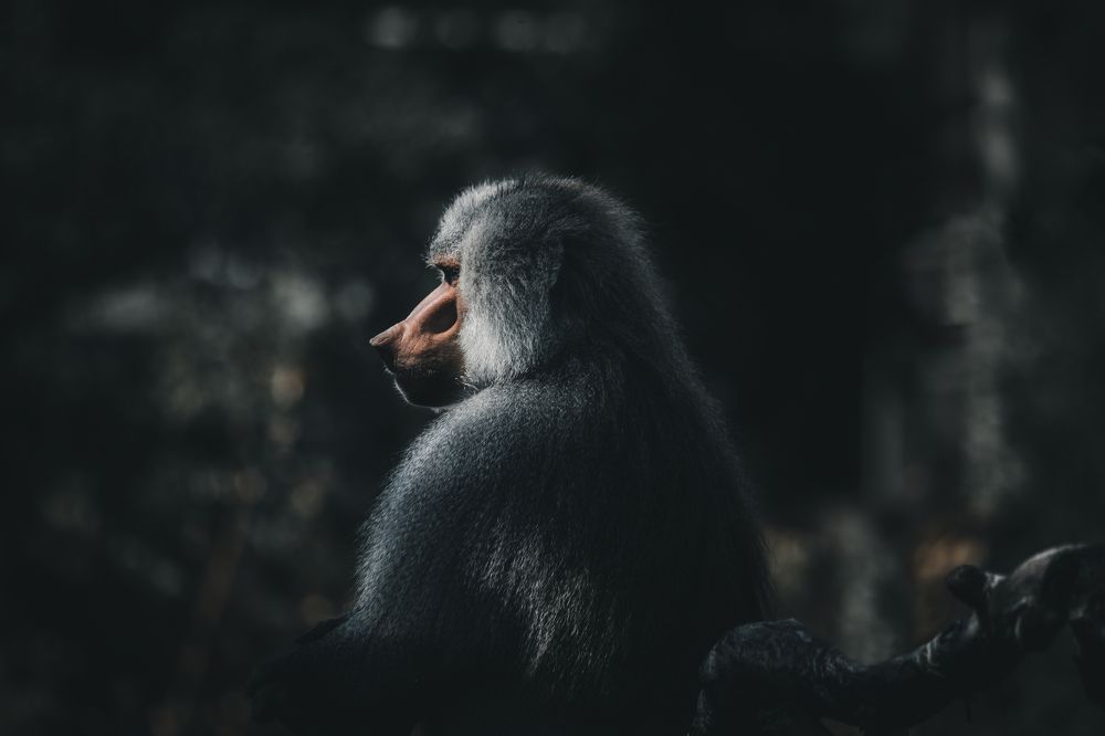 Photograph by Kevin Blackwell