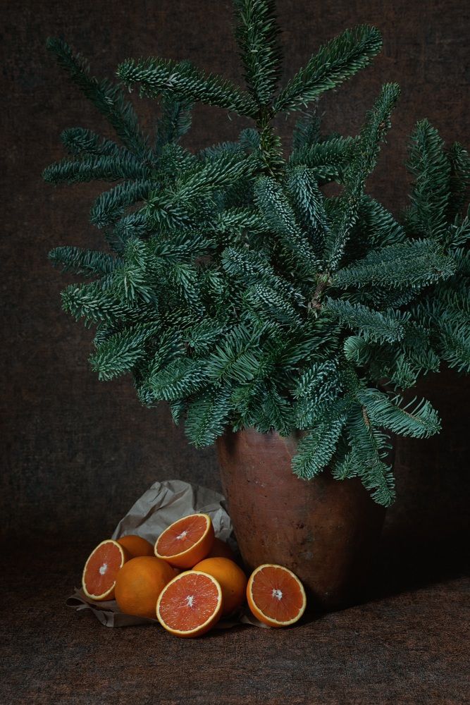 Photograph by Мария Акимова