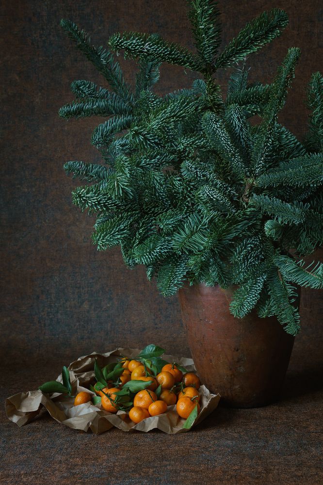 Photograph by Мария Акимова