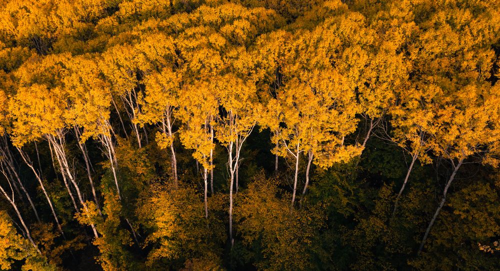 Photograph by Радослав Сотиров