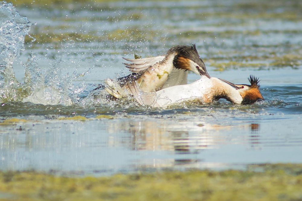 Фотография автора Суслов Дмитрий