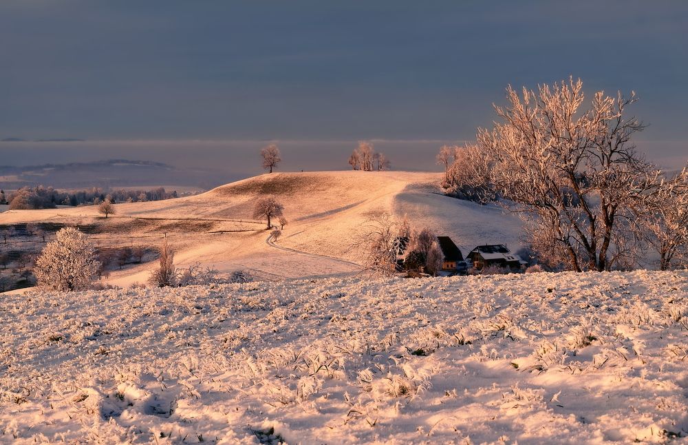 Photograph by Elena Wymann