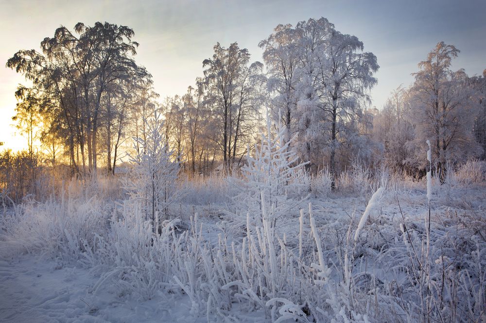 Photograph by Наталия Колтакова